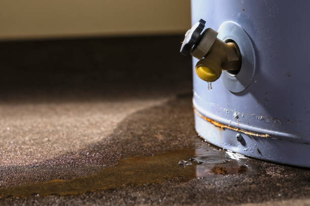 Best Local water damage restoration  in Lake Village, AR