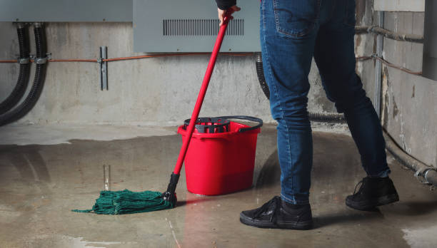 Best Fire Damage Restoration  in Lake Village, AR