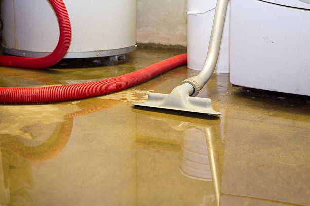 Best Ceiling water damage repair  in Lake Village, AR