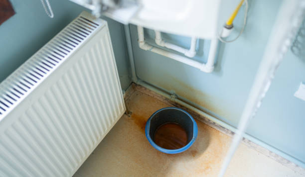 Best Local water damage restoration  in Lake Village, AR