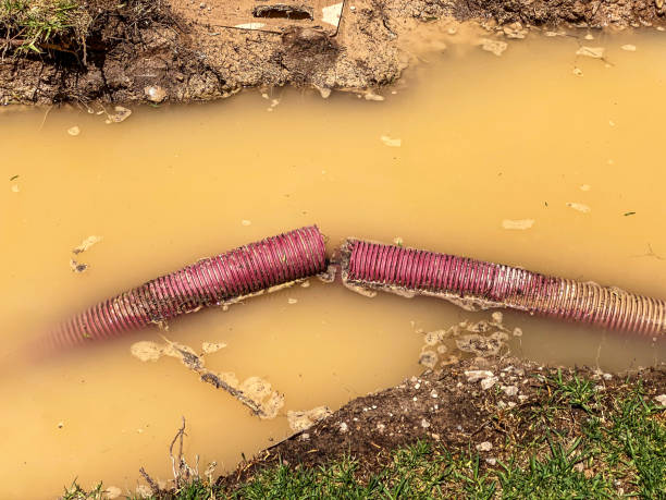 Best Water damage restoration near me  in Lake Village, AR